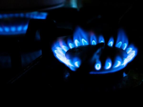 Отказ от российского газа угрожает малому бизнесу Германии — заявил Нимайер на ПМЭФ-2025